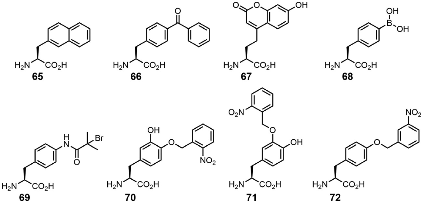 Fig. 10