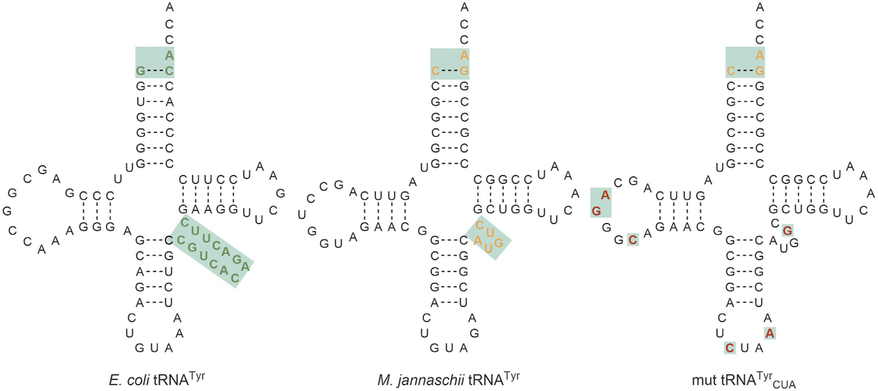 Fig. 8