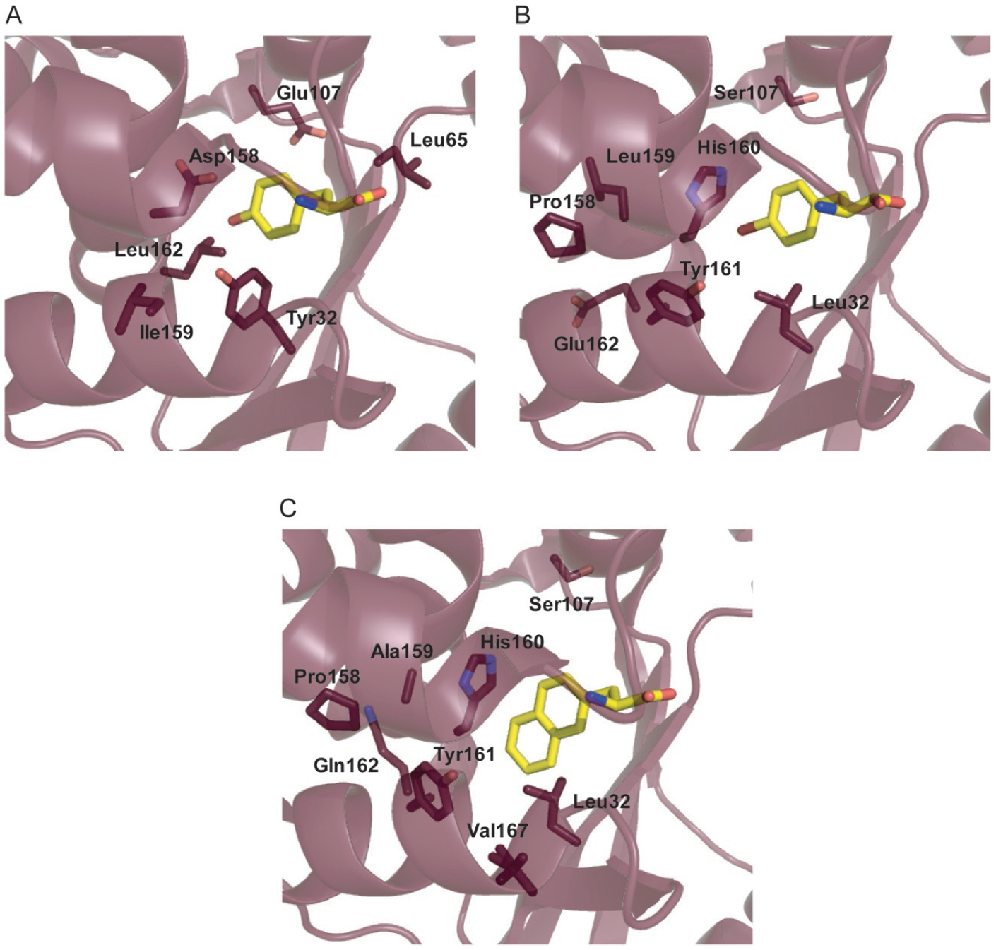 Fig. 11