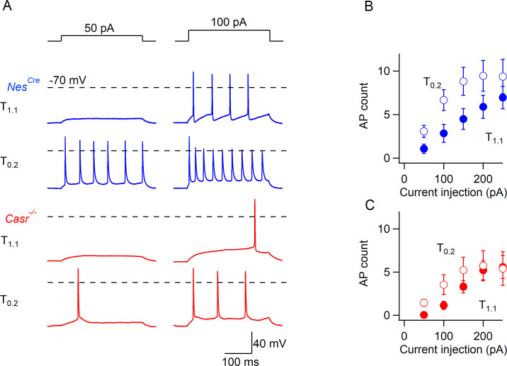 Figure 1—figure supplement 2.