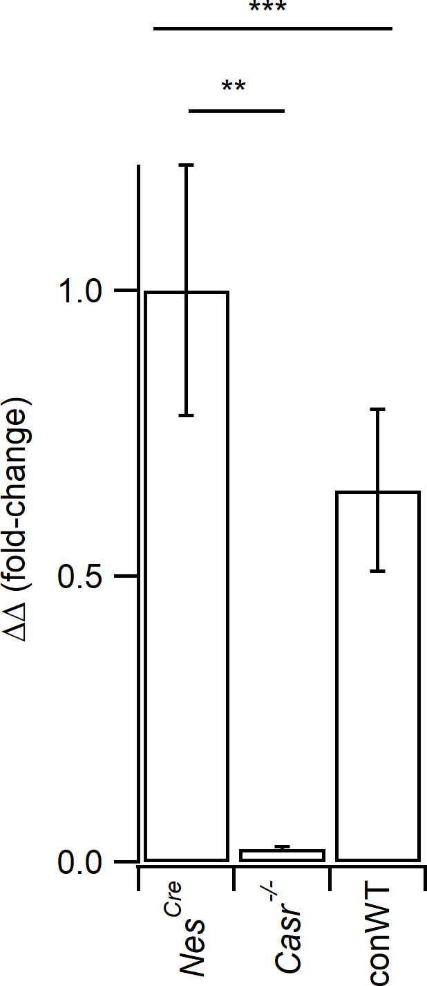 Figure 1—figure supplement 1.