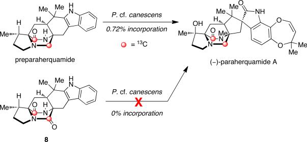 Scheme 12