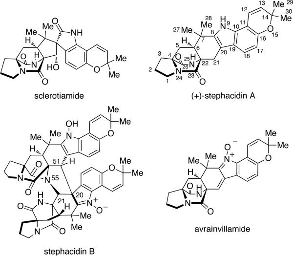 Figure 7