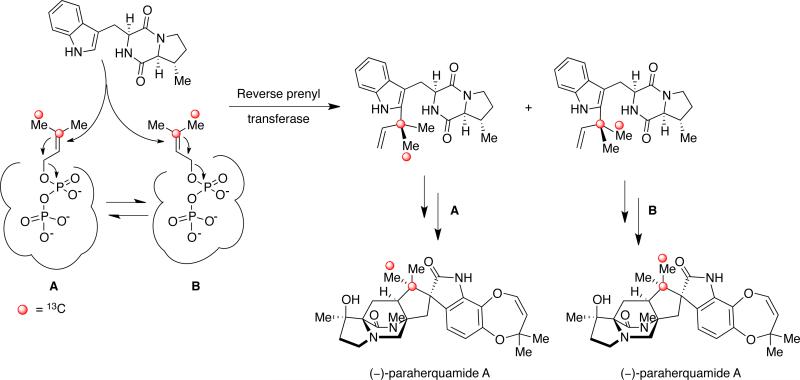 Scheme 11