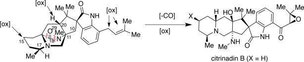 Figure 11