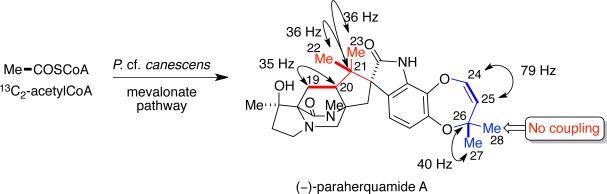 Scheme 10