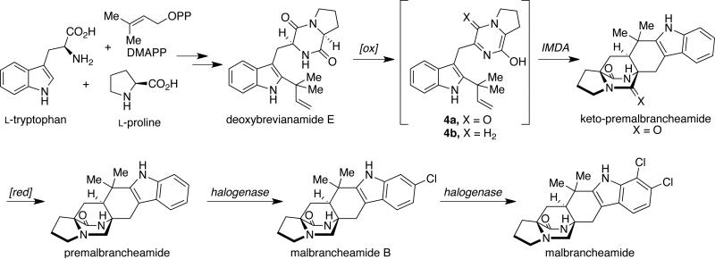 Scheme 3