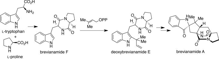 Scheme 5