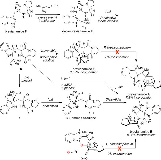 Scheme 6