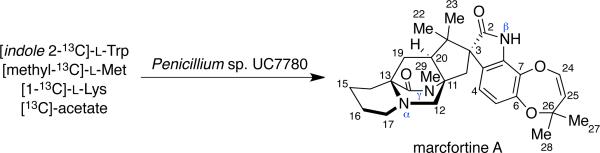 Scheme 7