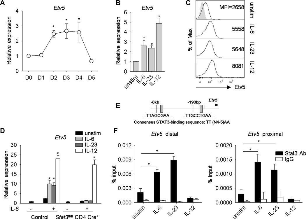 FIG 6