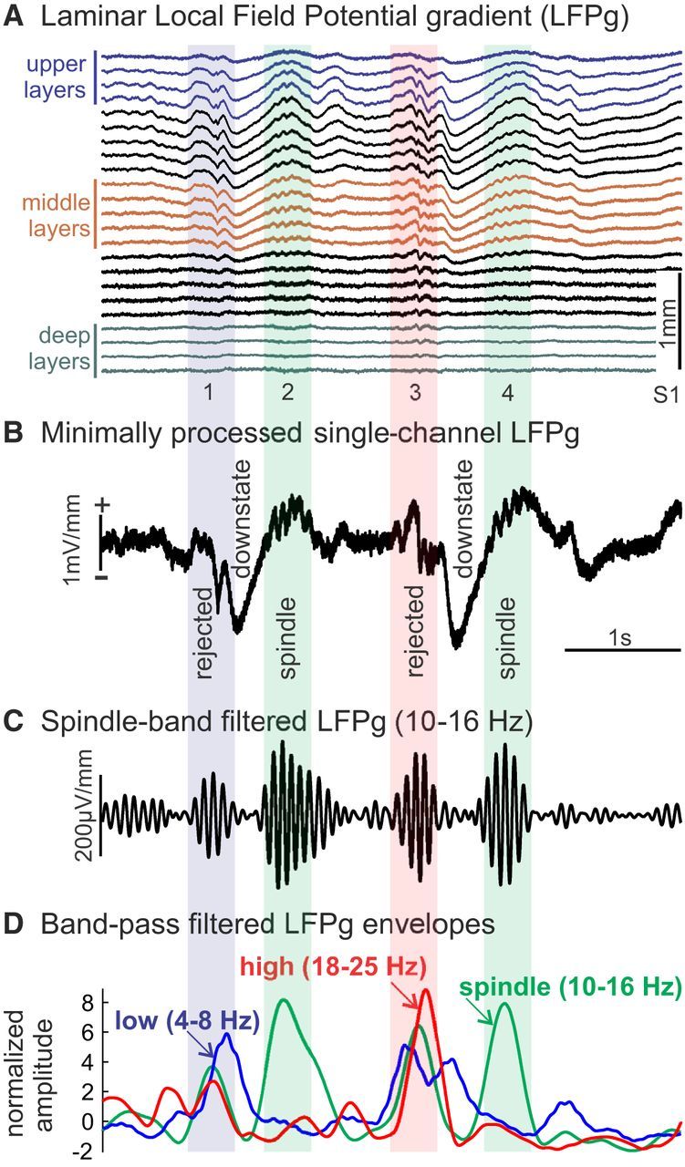 Figure 2.