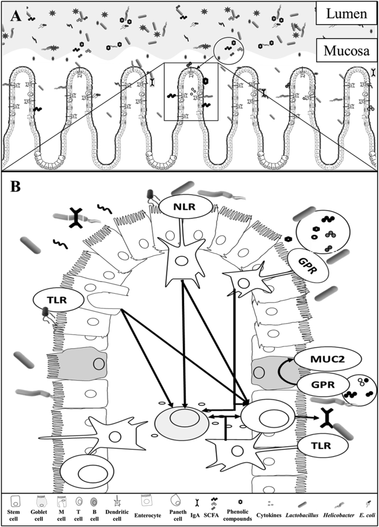 Fig. 1