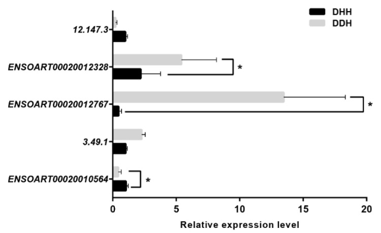 Figure 5