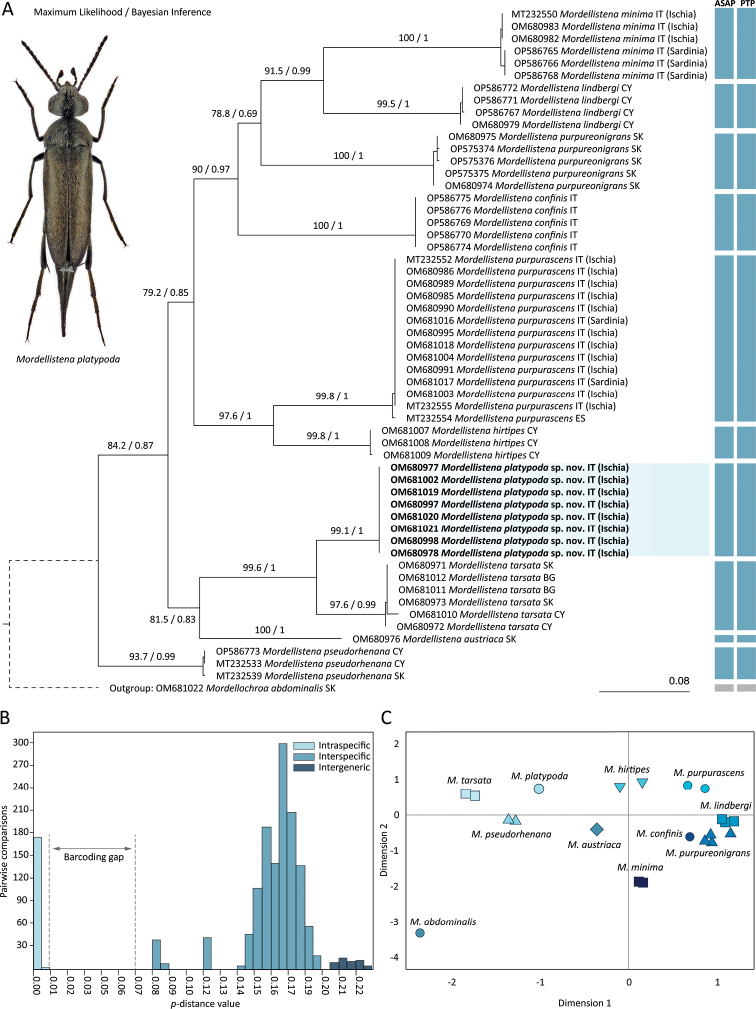 Figure 2.