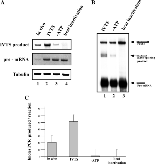 Figure 10.