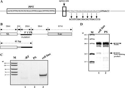 Figure 9.