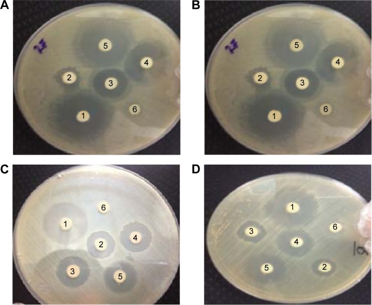 Figure 11