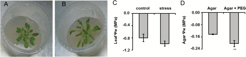 Fig. 2.