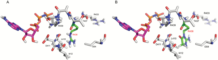 Fig. 9.