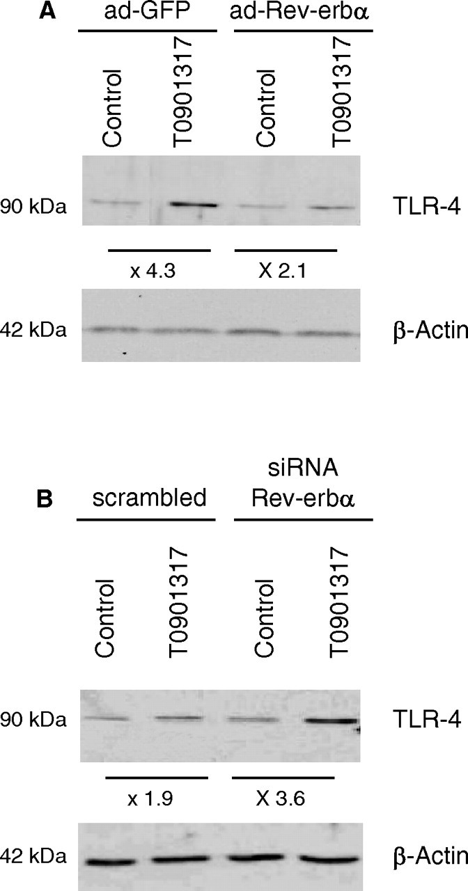 Fig. 5.