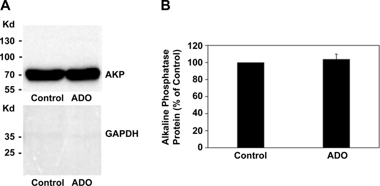 Fig. 13.