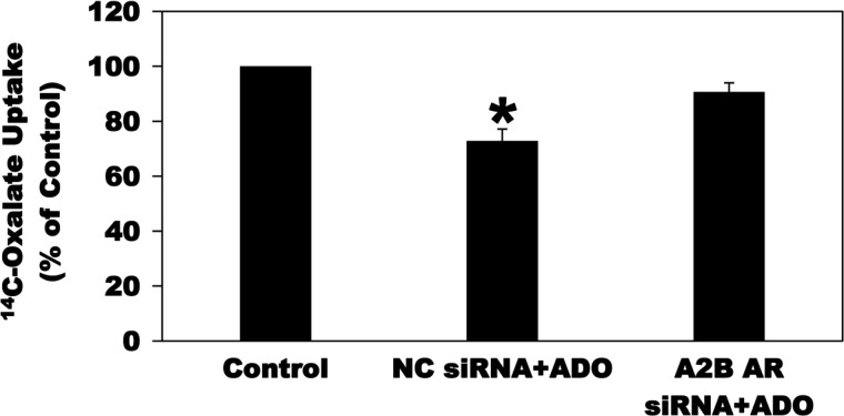 Fig. 8.