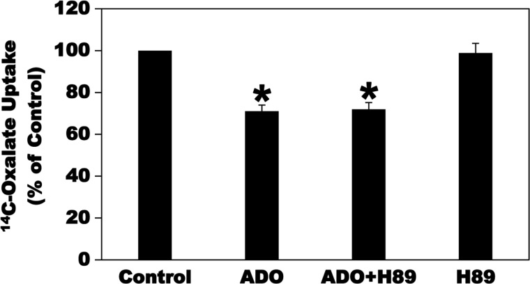 Fig. 9.