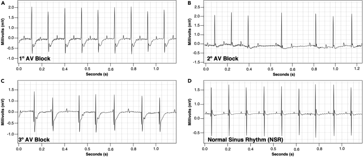 Figure 6