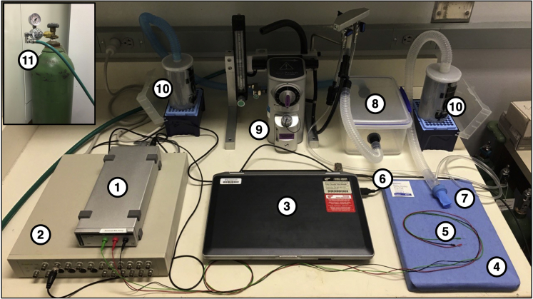 Figure 2