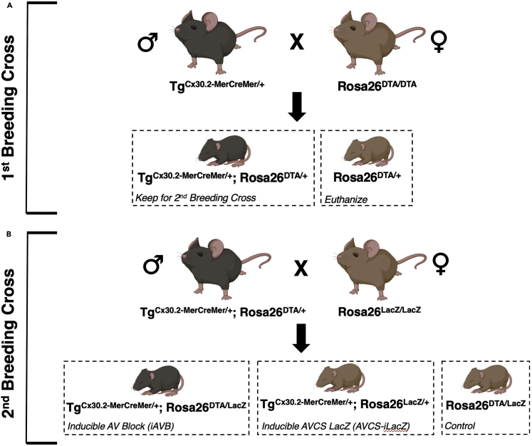 Figure 1