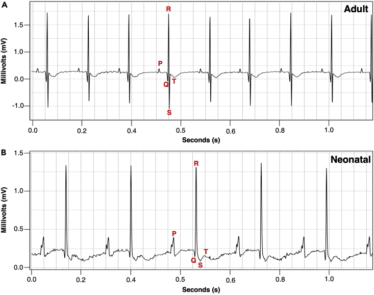 Figure 5