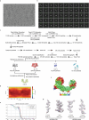 Extended Data Fig. 5