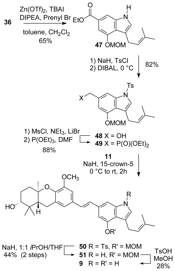 Scheme 7