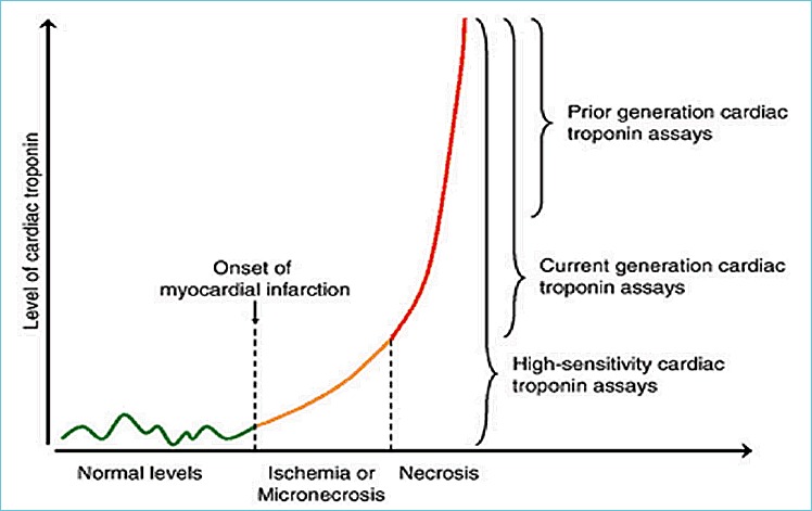 Used with permission from Hochholzer et al. Am Heart J 2010;160:583-94