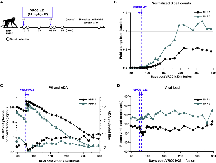 Figure 4