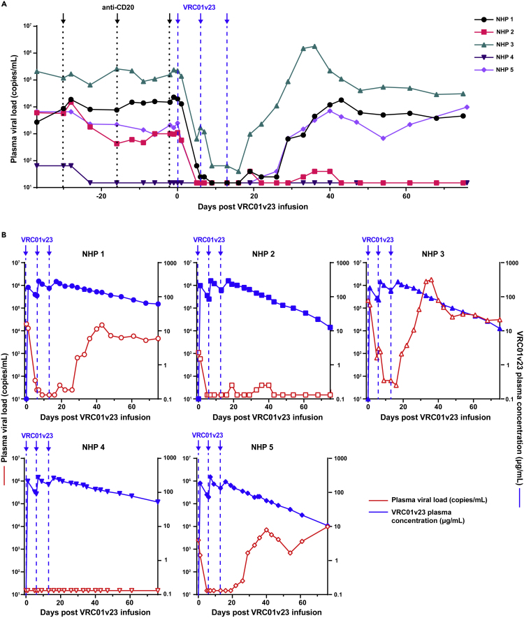 Figure 2