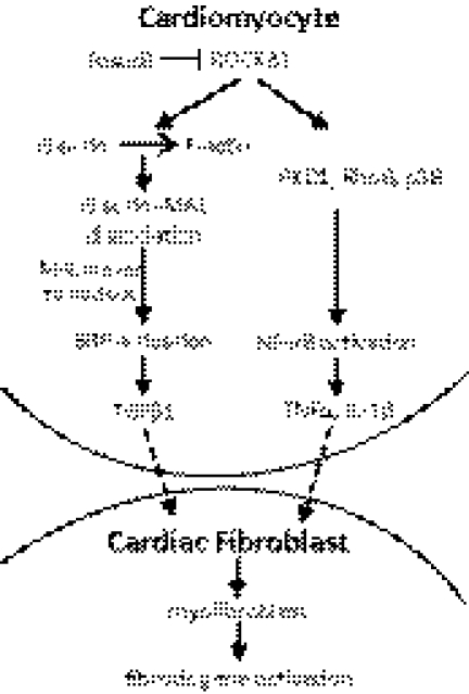 Figure 9.