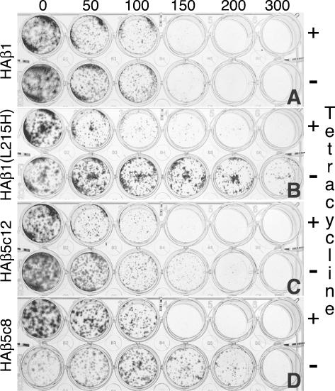 Figure 6.