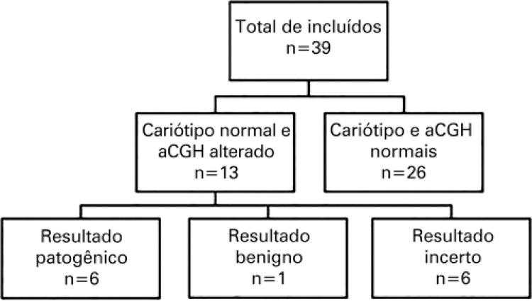 Figura 1