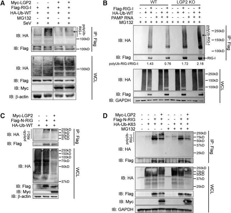 FIG. 6.