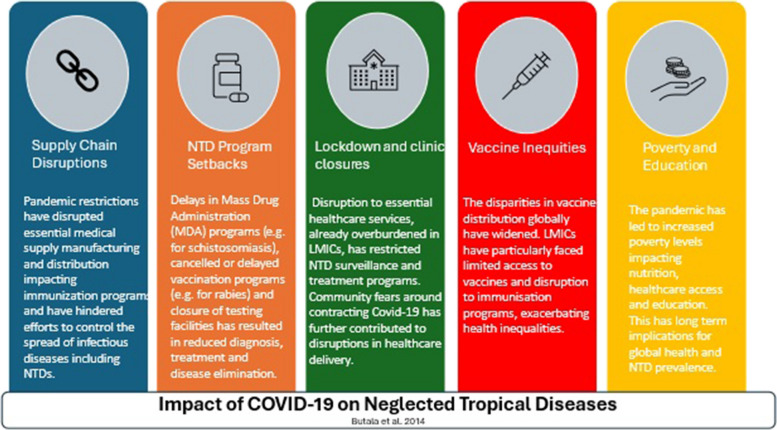 graphic file with name 40249_2024_1223_Figa_HTML.jpg