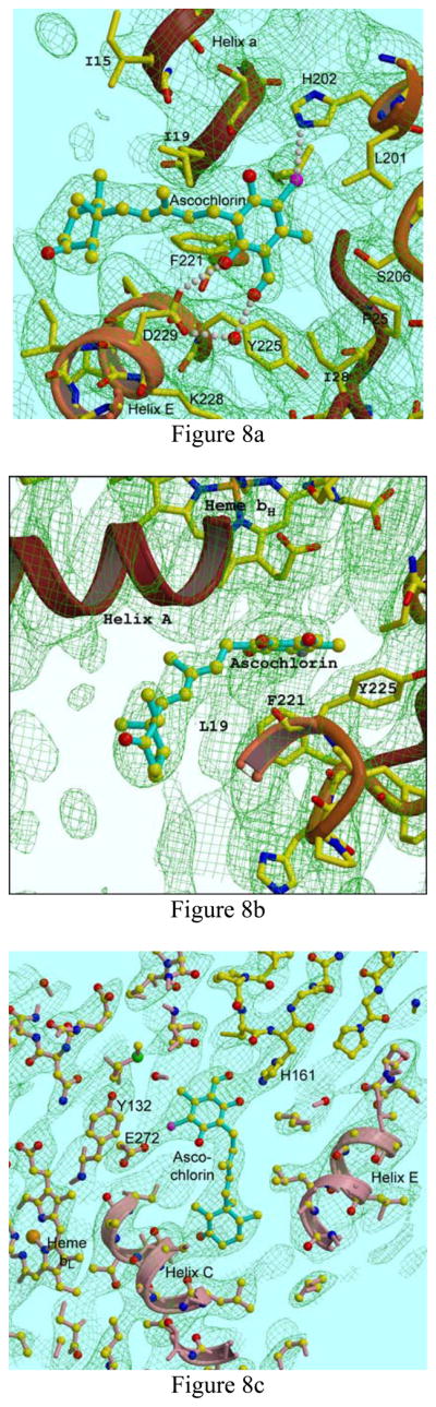 Figure 8