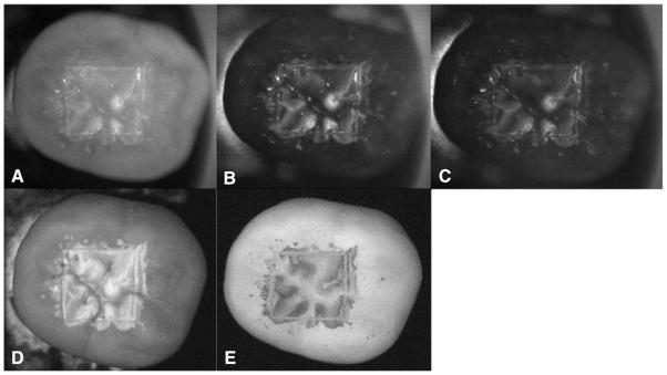 Fig. 4