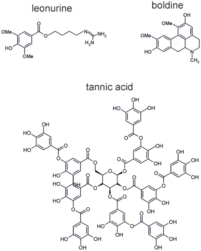 FIGURE 6