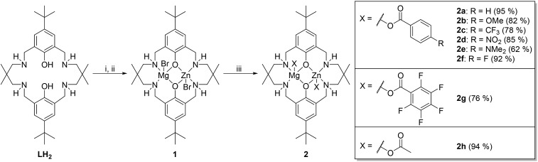 Scheme 1