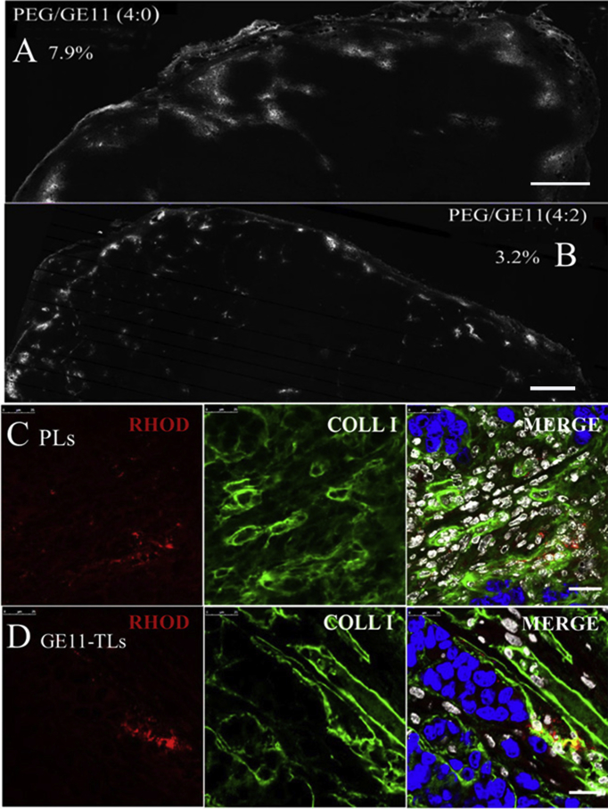 Figure 6