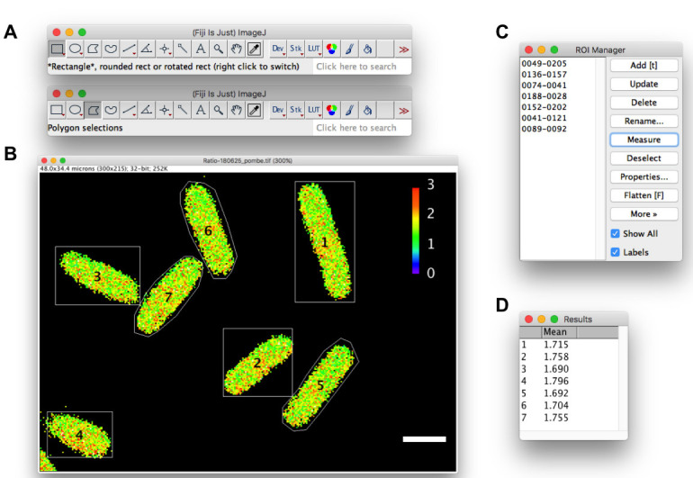 Figure 2.