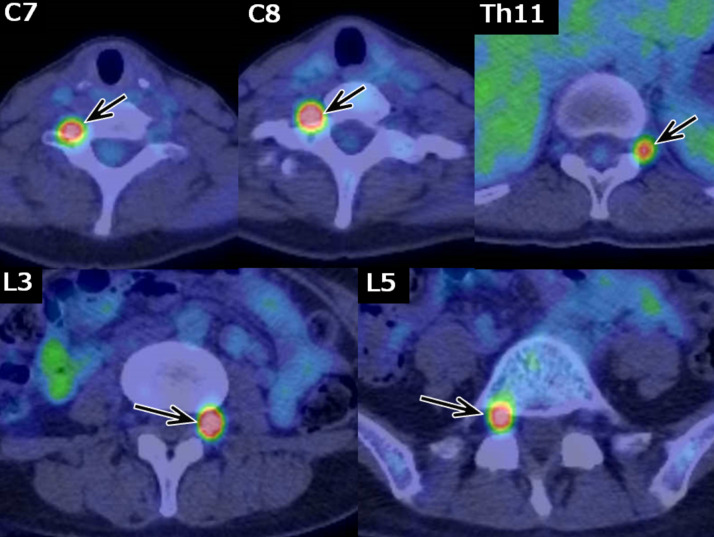 Fig 3