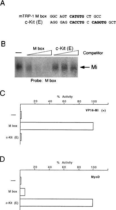 FIG. 6